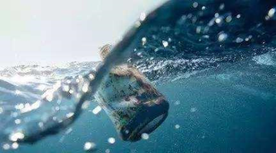 河道水位流量監測需要注意的事項